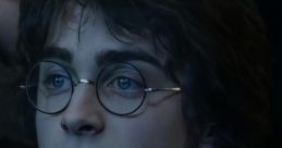 Harry Lievetmursu