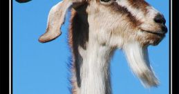 El chivo