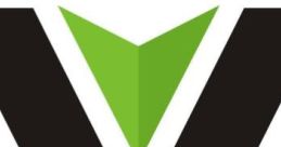 Vision Turf & Pavers