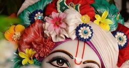 KRISHNA MANIA