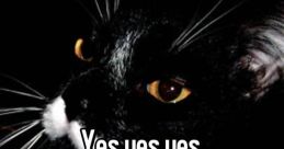 Bekım Yes