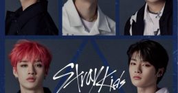 STRAY KIDS