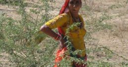 Prakashbhai Bishnoi