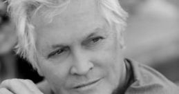 Andrew stevens
