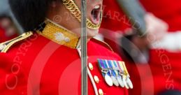 Royal Evans