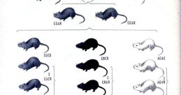 Mouse theories