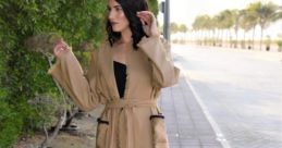 Lina Anir