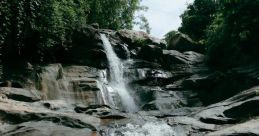 Thurga Rajasingam