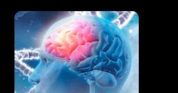 Comunidade Neuro Viver