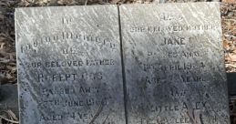 Jane Ogg