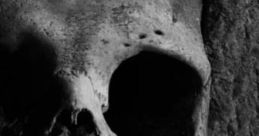 Coffin