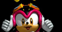 Charmy Bee (Amy Birnbaum)