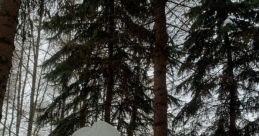 Полина Береснева