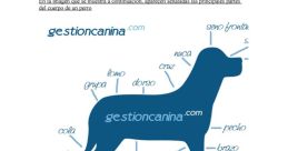 Cuñao perro