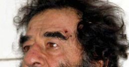 Hussein Morshed