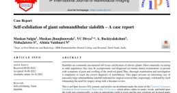 SAILIKITH 2853
