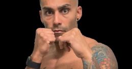 Macho aponte