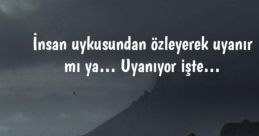 Özlem