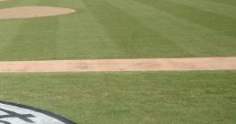 Oconee Wood Ducks Baseball logo on the field, showcasing vibrant green grass and a well-maintained baseball diamond.