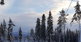 Vallsta