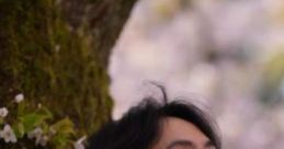 Max Lin
