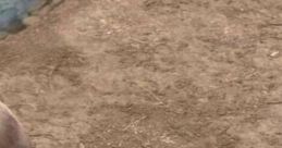 Burro de Shrek (Latino) (Resubido)