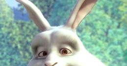 Bwunny
