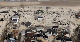 Sandy