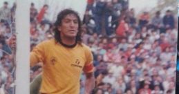 Manuel Cheiles