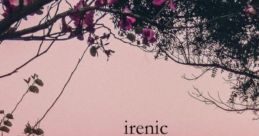 Irenicht_