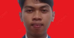 Alfi Noor