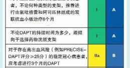 DaPT 31