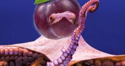 OCTOPLUM