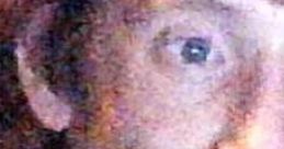 Mathew Wandell
