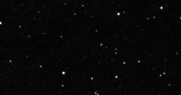 Tiny_5612