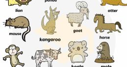 What animal