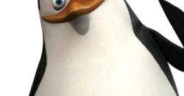 Amino Il Pinguino