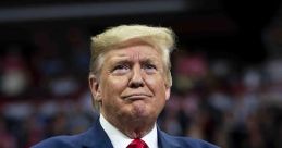 Donald Trump (New)