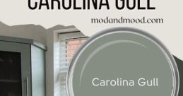 Carolina BM from Carolina BM. # #videogame #funny #forchildren #track #hiphop #trap #electronic #drumnbass #electro