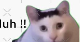 Huh? ?