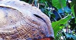 Ferocious dinosaur head with sharp teeth amidst lush greenery, showcasing prehistoric power and natural beauty.