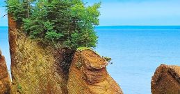 Fundy
