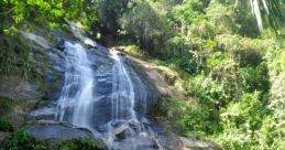 Cordão da Tia Juca