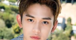 Lucas_cdss02