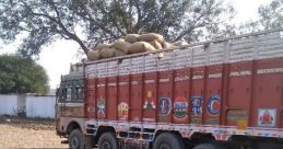 Gadi service