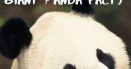 Panda_Unknown