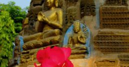 Buddhi Ong