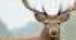 Deer_face