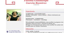 EQUIPO 6 PACHECO DZUL FÁTIMA GUADALUPE