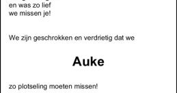 Auke de Wit